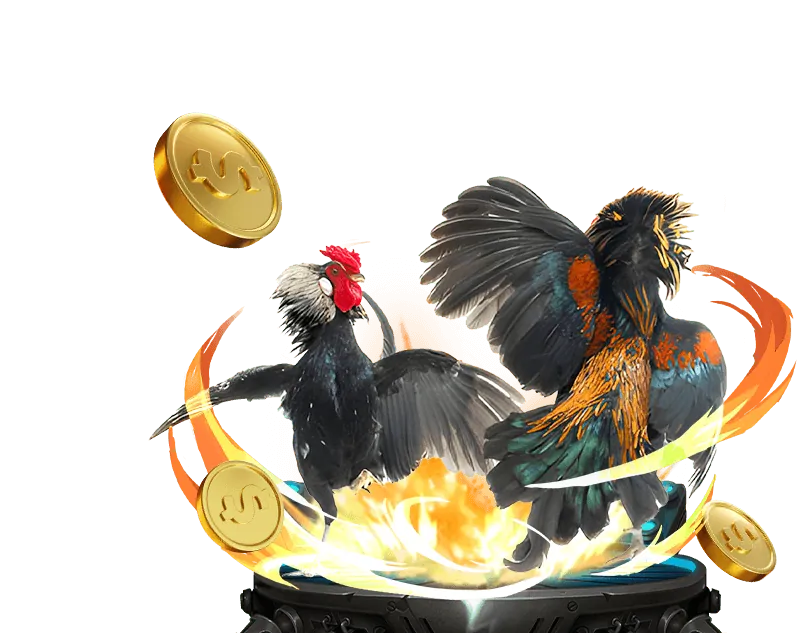 Người chơi cá cược đá gà trực tuyến trên điện thoại