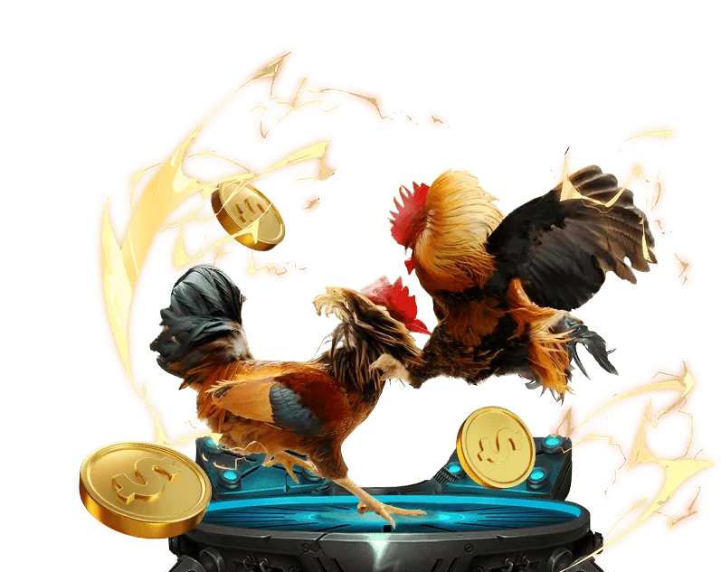 Hình ảnh cam kết